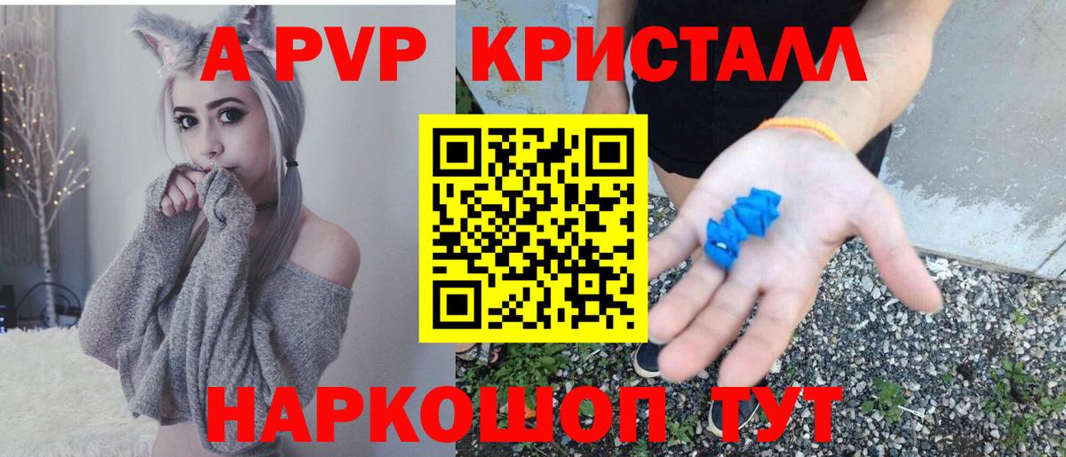 Alfa_PVP СК Прокопьевск