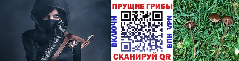 omg онион  Прокопьевск  Галлюциногенные грибы Magic Shrooms 