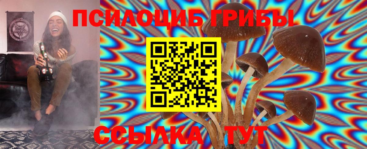 Псилоцибиновые грибы Psilocybine cubensis  Прокопьевск 