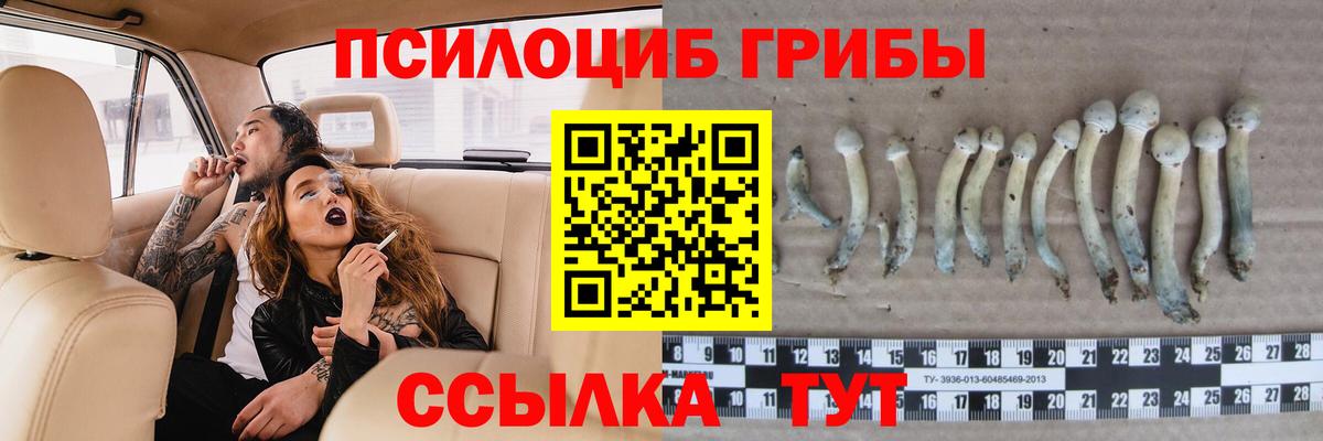 закладка  Галлюциногенные грибы мухоморы  Вход с VPN  Прокопьевск 