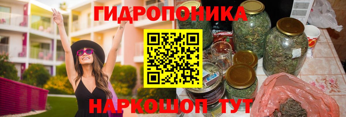 Каннабис планчик Прокопьевск